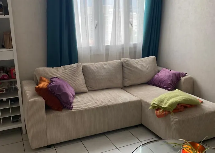 Cosy T2 Proche De L Hyper Centre De Grenoble