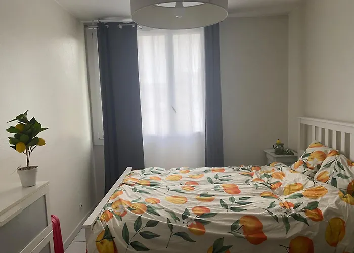 Cosy T2 Proche De L Hyper Centre De Grenoble